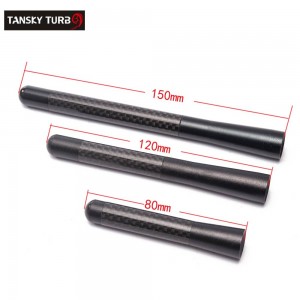 TANSKY 4.7" Mini Black Carbon Fiber Radio Short Antenna Universal Car Decorative Scerw Black 12cm Length TK-TX005-120T